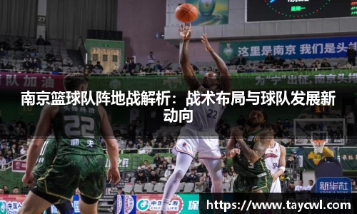 南京篮球队阵地战解析：战术布局与球队发展新动向